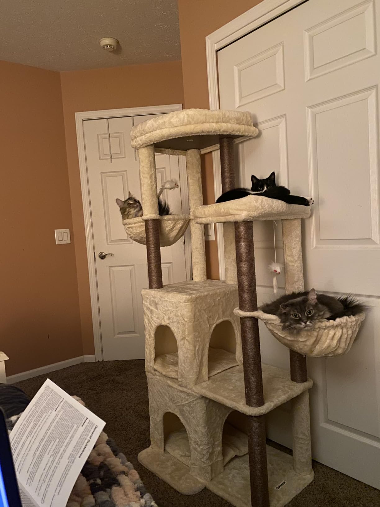 Globlazer Cat Tree Tower for Indoor Cats Large Adult, FC50, Light Grey customer photo 1