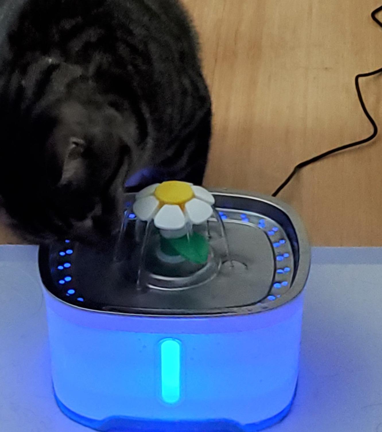Cat Water Fountain Wireless,Stainless Steel-Rechargeable- Battery Operated Cat Water Fountain,108oz/ 3.2l Automatic Cordless Pet Fountain,Pet Fountain with 4200 Mah Battery customer photo 1