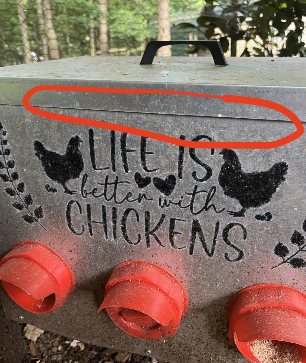 TGEYD 50LB Large Automatic Chicken Feeder – 8 Feeding Ports, No-Waste Poultry Feeder, with Adjustable Legs & Locking Lid customer photo 2