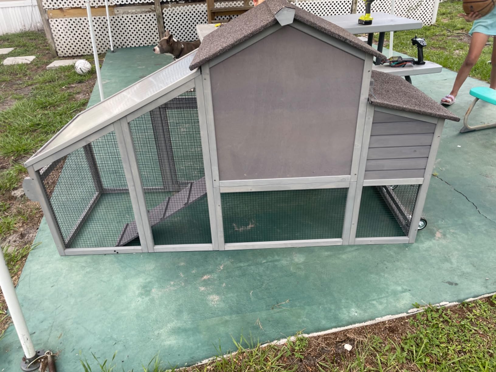 Chicken Coop with Wheels Wooden Outdoor Chicken House Easy Cleaning with Nesting Box, Deeper Leakproof Pull-Out Tray and UV Proof Panel Roof - Reinforced Version - Red customer photo 2