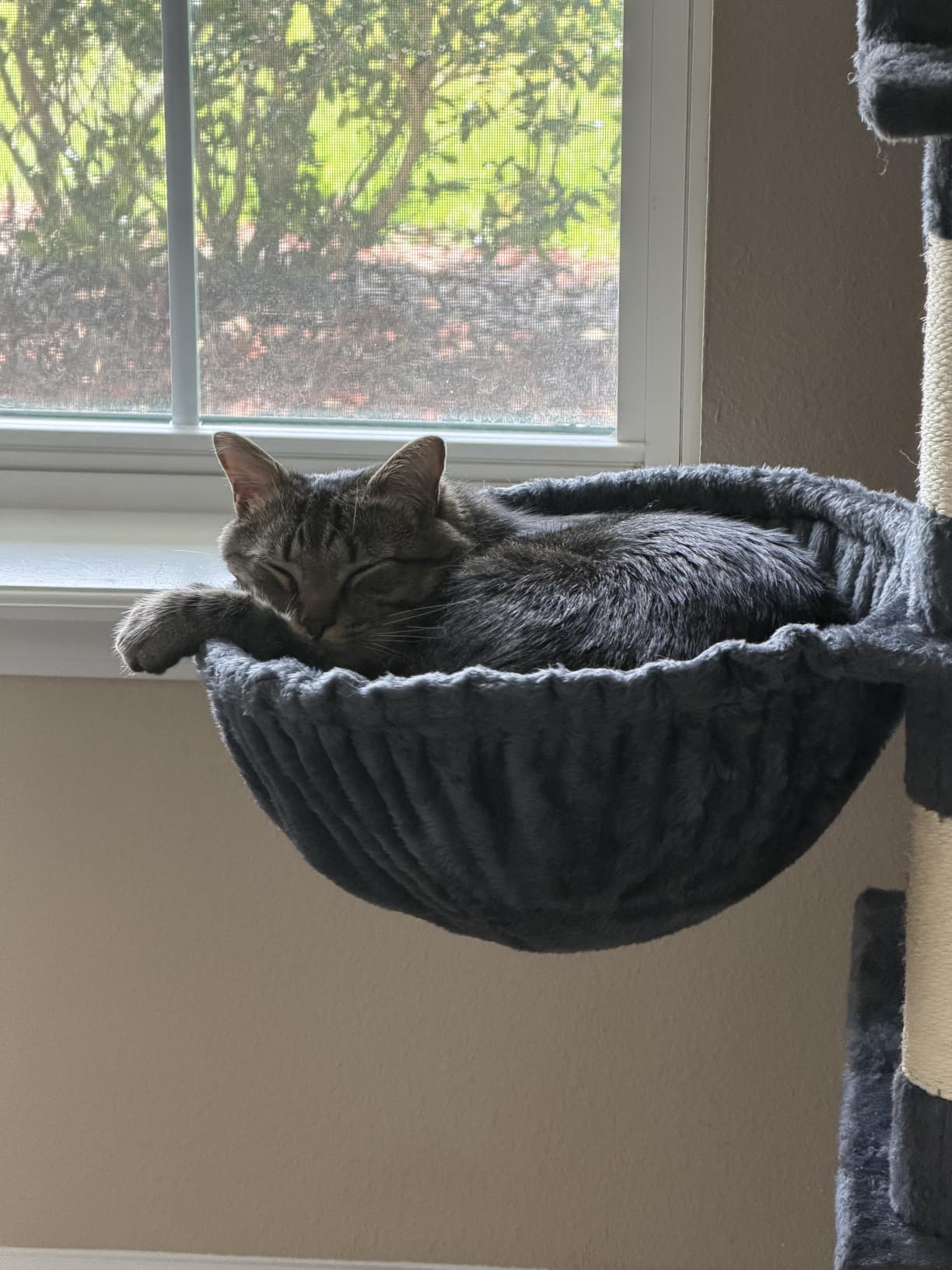 Hey-brother Cat Tree Tower with Stable Extended Base, 3 Platforms, MPJ038W customer photo 1
