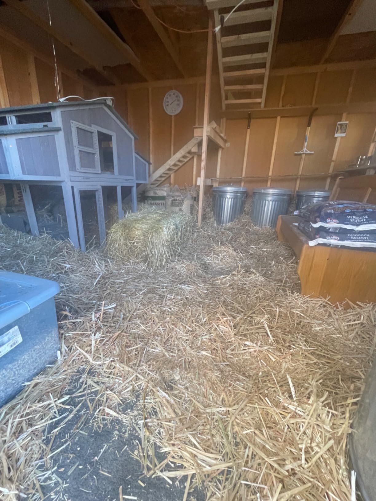 Aivituvin Chicken Coop 85