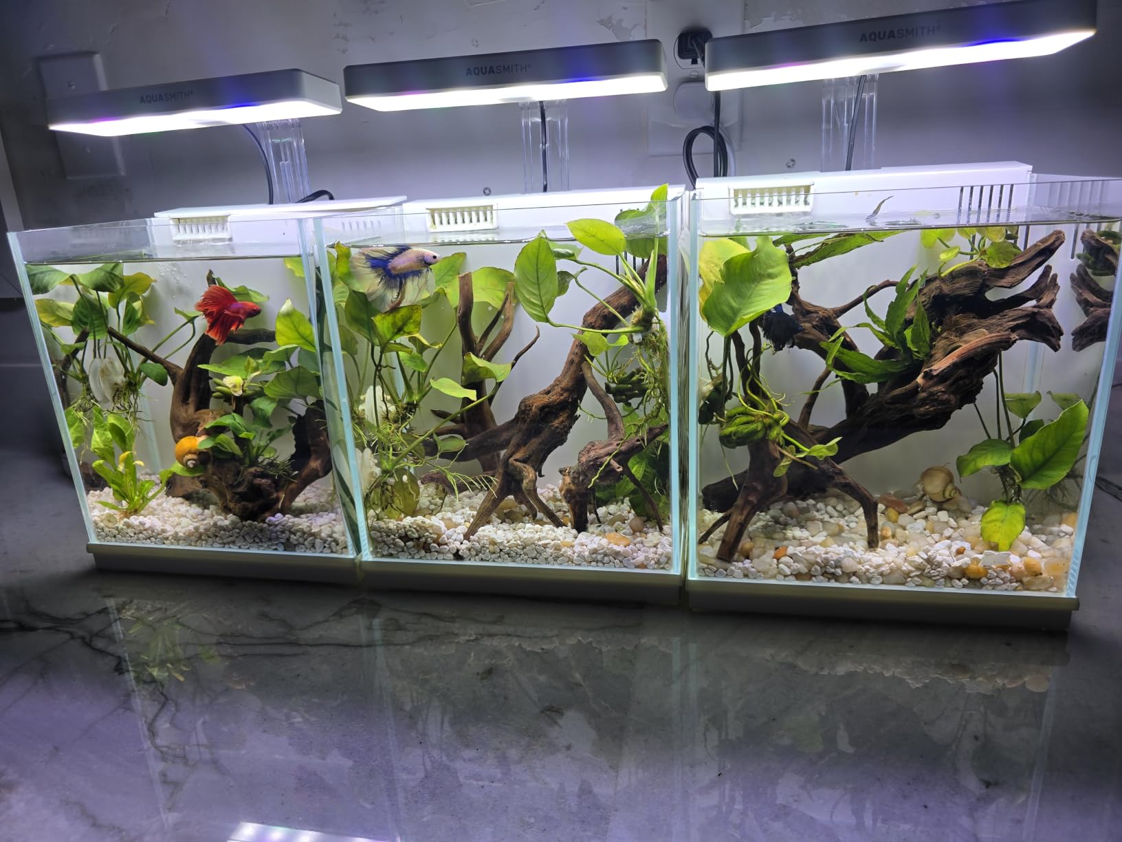 AQUASMITH 2-Gallon All-in-One Fish Tank – Silent Pump, 3-Stage Filtration & Easy Water Change, Perfect Self-Care Betta Aquarium Kit for Kids & Beginners (White customer photo 1