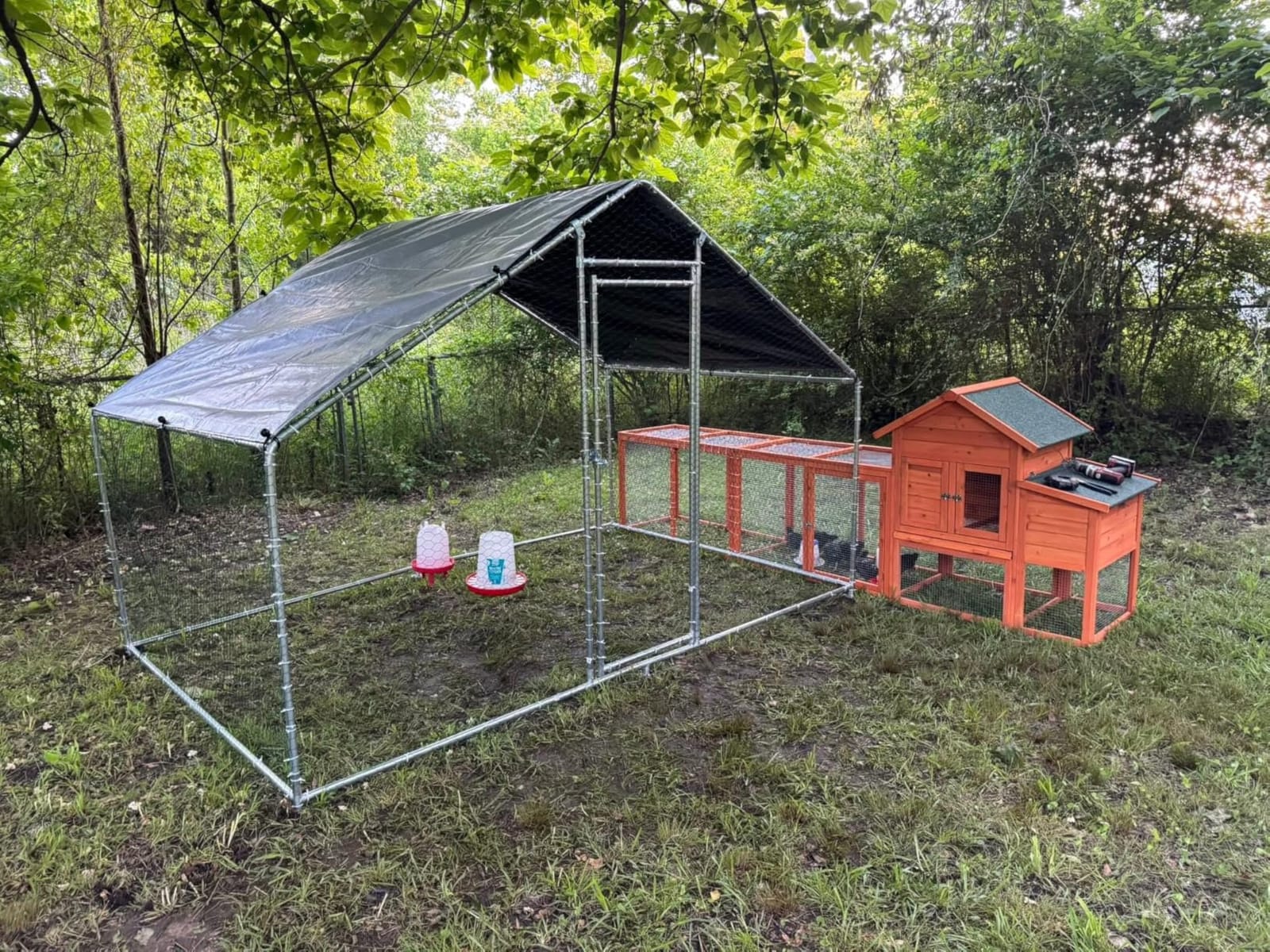 Large Metal Chicken Coop, Chicken Runs for Yard with Cover Walk-in Poultry Cage for 10 20 Chickens, Chicken Pen Duck Coop Hen House with Water-Resident Top and Feeding Door 19.2Lx9.84Wx6.6H FT customer photo 1