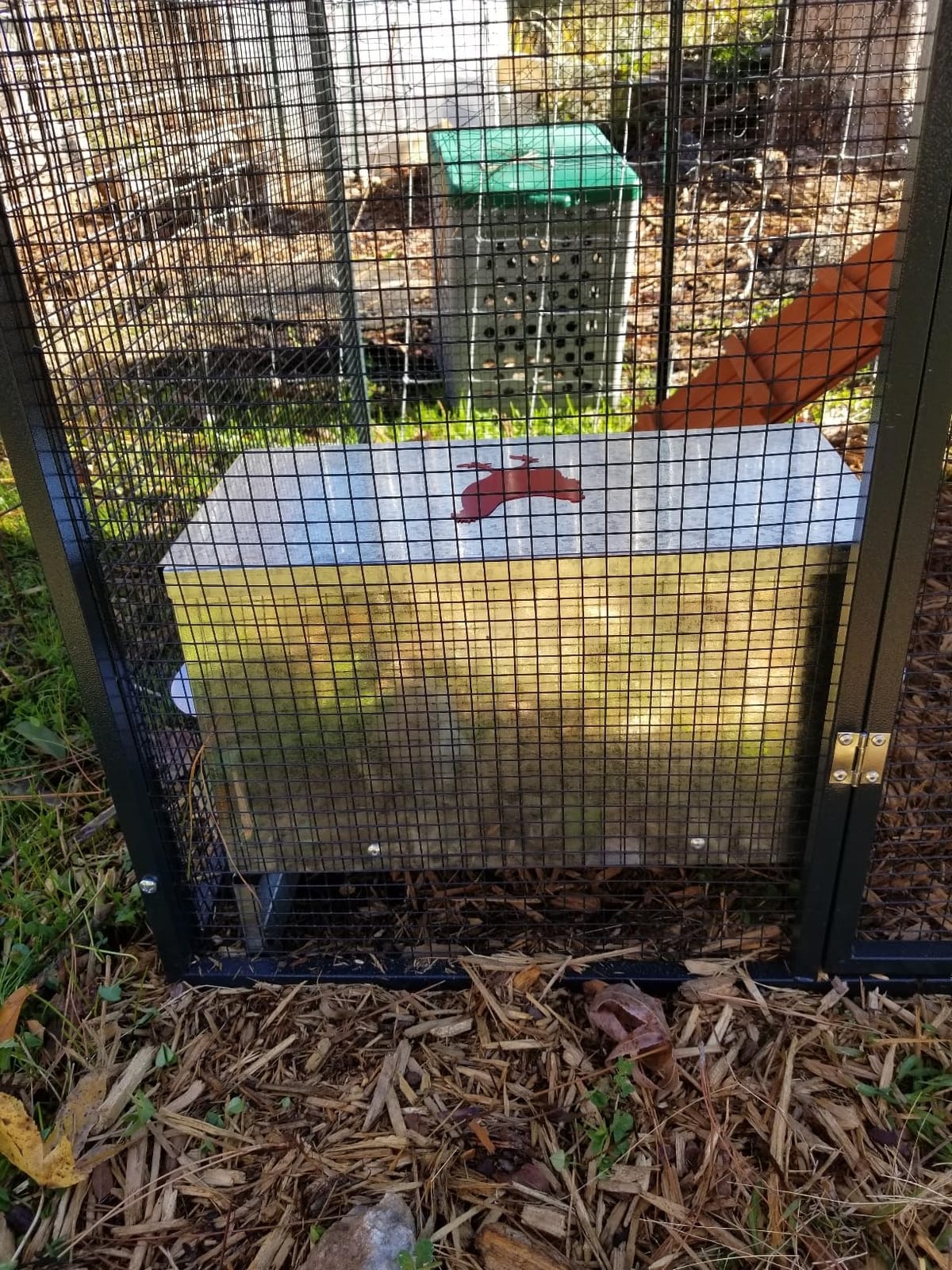 60-90lb Automatic Chicken Feeder customer photo 1