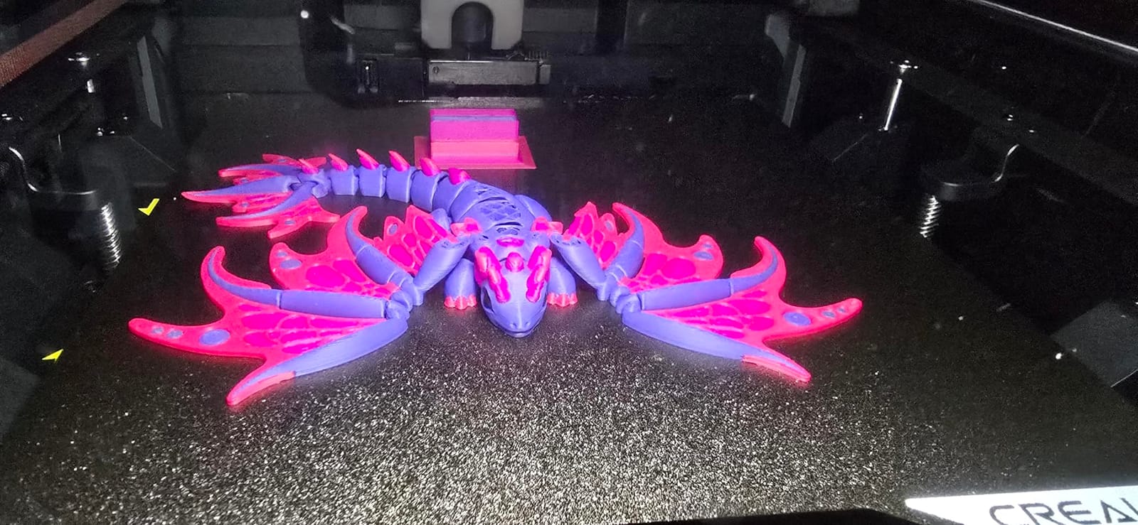 Creality K2 (A) Combo 3D Printer, Multicolor Printing with CFS customer photo 1