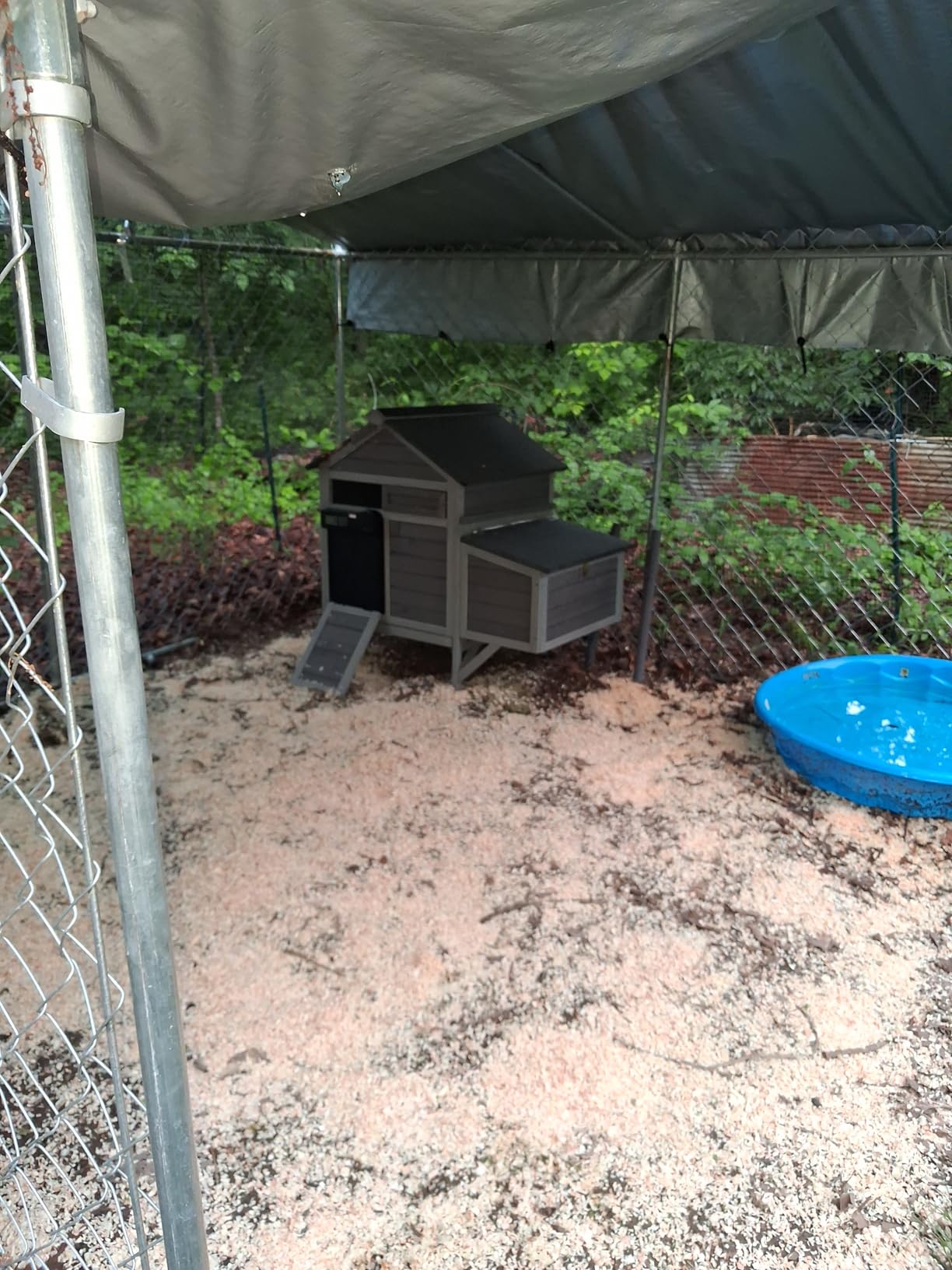 GUTINNEEN Chicken Coop Outdoor Chicken House with Nesting Box Waterproof Duck Coop for Backyard.Raise Legs customer photo 2