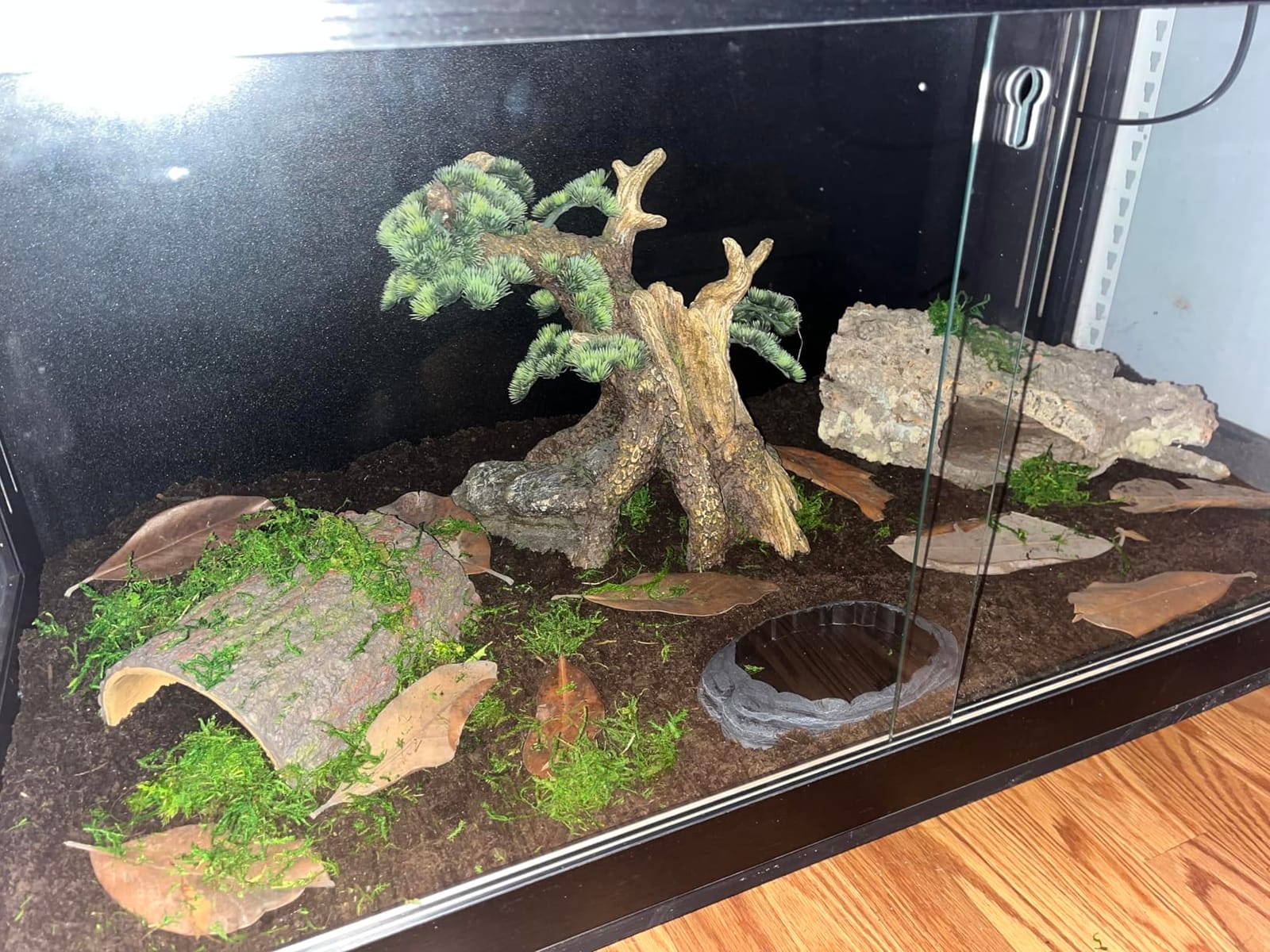 Royxen Reptile Enclosure,82 Gallons Reptile Tank with Wooden Top and Lockable Design,Tempered Glass Bearded Dragon Tank for Lizard Gecko Habitat (Oak,48
