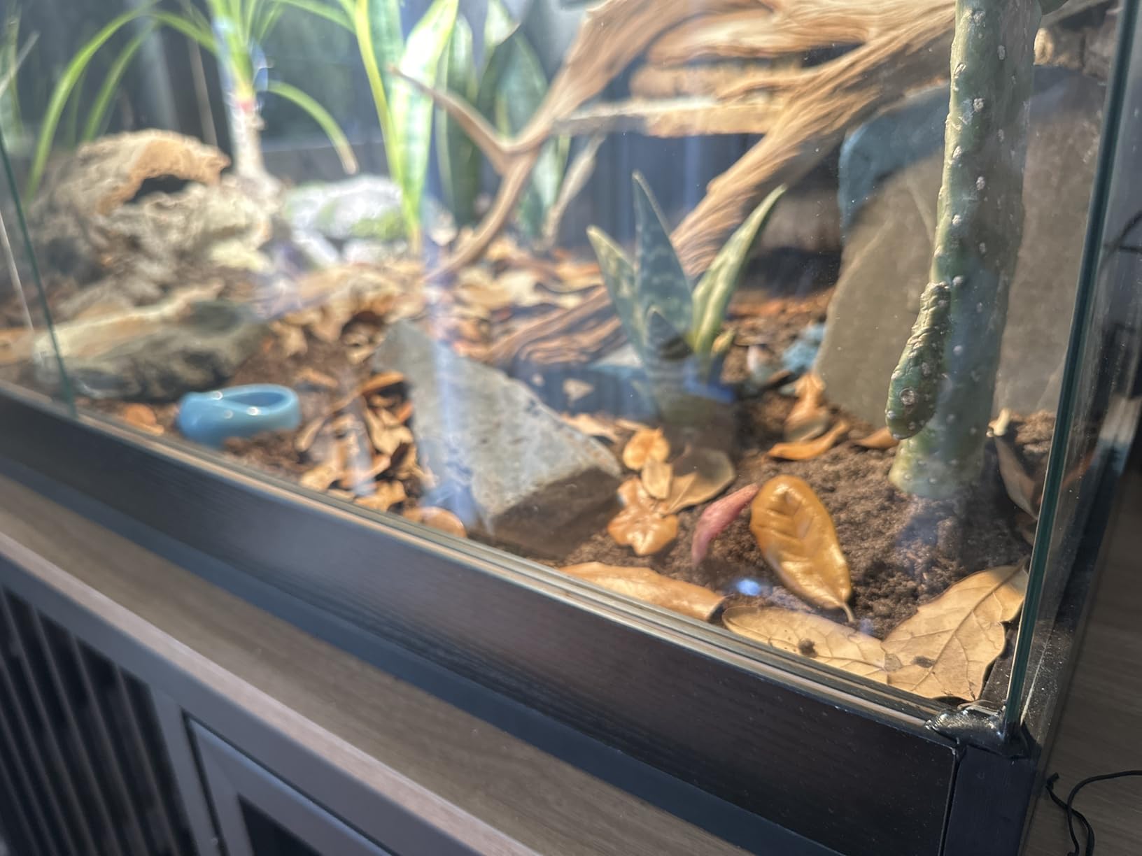 Royxen Reptile Enclosure,82 Gallons Reptile Tank with Wooden Top and Lockable Design,Tempered Glass Bearded Dragon Tank for Lizard Gecko Habitat (Oak,48