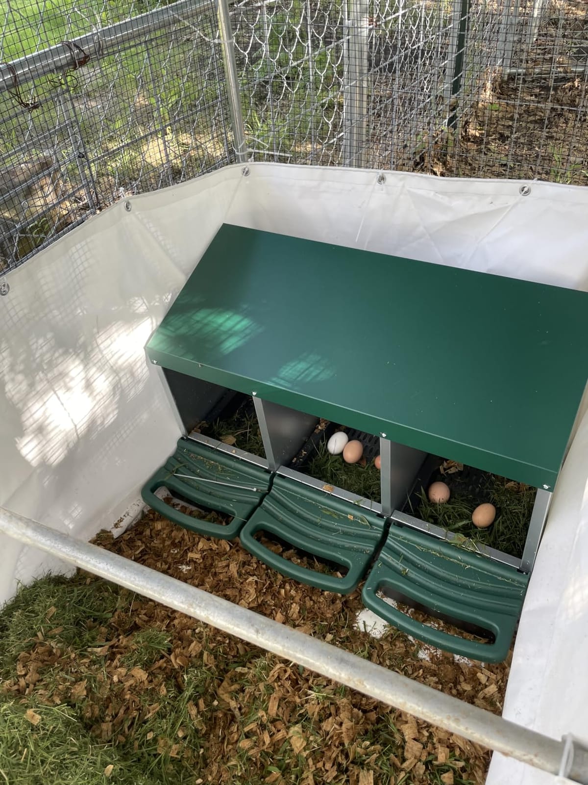 Chicken Nesting Boxes for Laying Eggs, Roll Away Nesting Boxes for Chickens customer photo 1