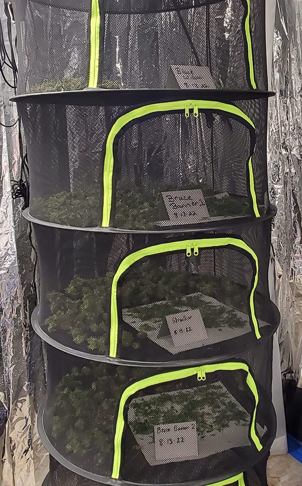 6 Layer Herb Drying Rack Foldable U-Shaped Double-Headed Zipper (23.62''W) customer photo 1