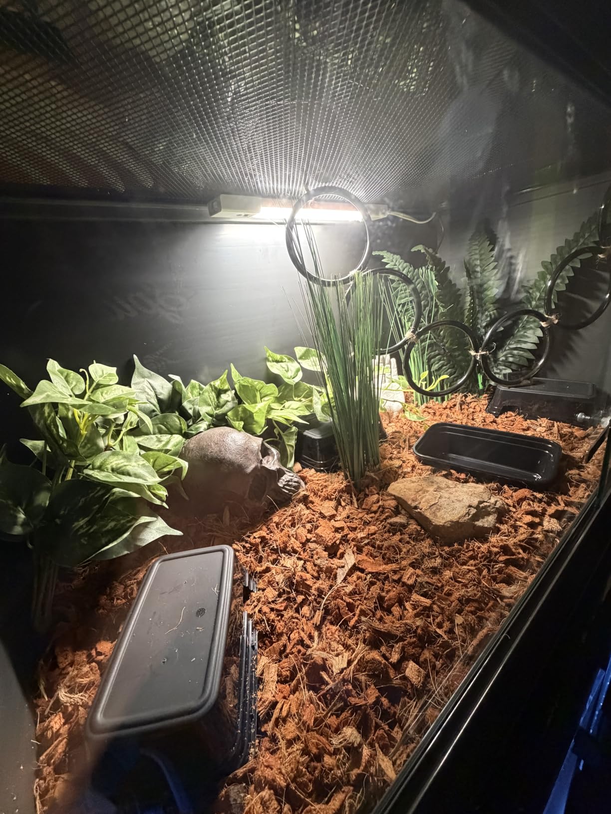 68 Gallon Reptile Enclosure, 48x18x18 Reptile Tank Terrarium, 48