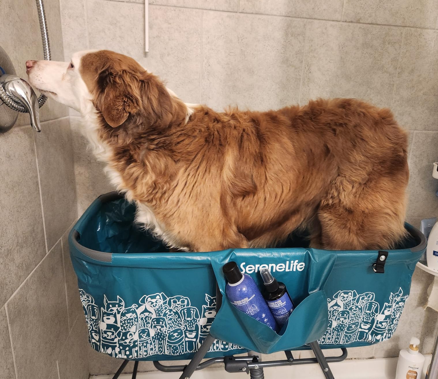 SereneLife Foldable Dog Bath Tub with Adjustable Height, 360° Access, Drain Hose & Storage Pockets – 130 lb Capacity Grooming Station for Indoor/Outdoor Use (Gray) customer photo 1