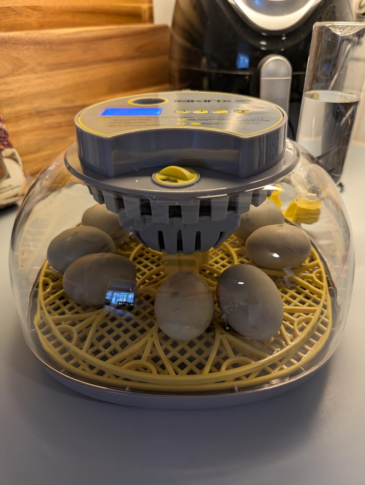 Incubator for Hatching Eggs - 12 Egg Capacity, 360° Viewing for Chicken customer photo 1