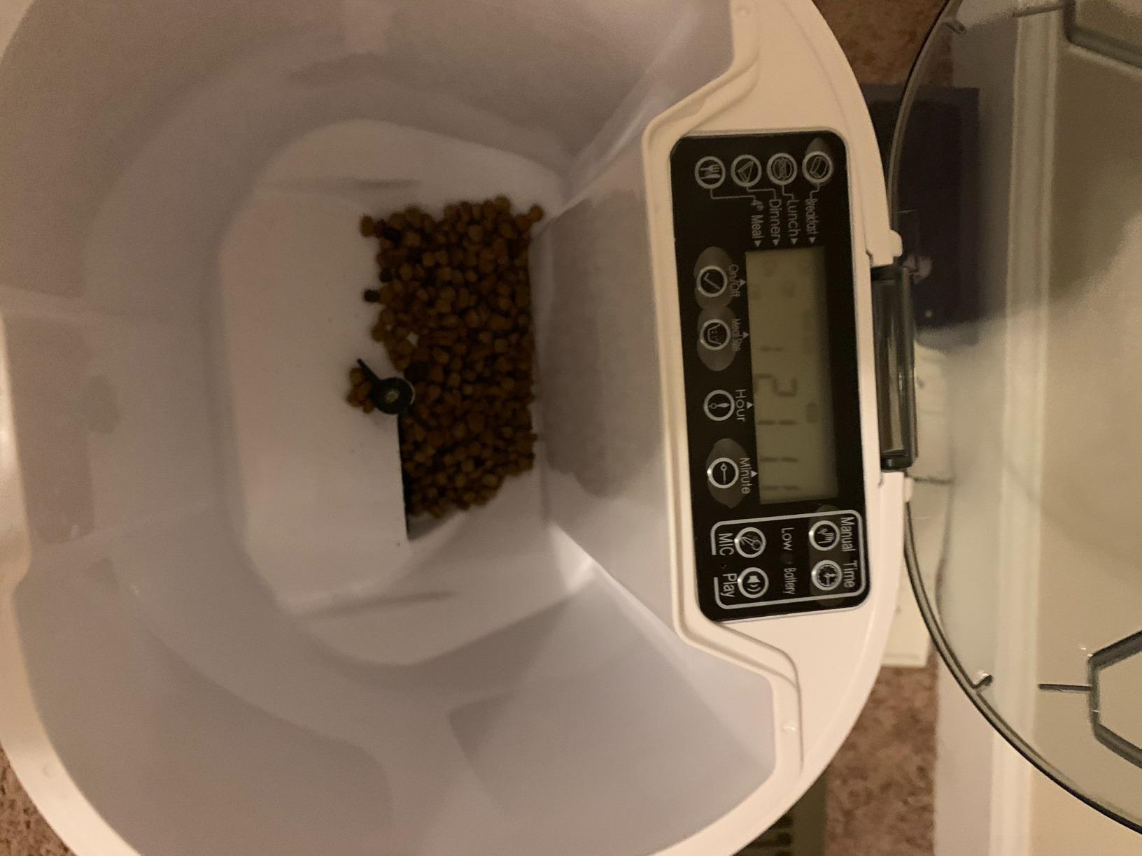 Faroro Automatic Cat Feeder with Camera, 1080P HD Video with Night Vision, 5G WiFi Automatic Dog Feeder with APP Control, 2-Way Audio, Blockage Sensor for Cats or Small Dogs, 4L (White) customer photo 2