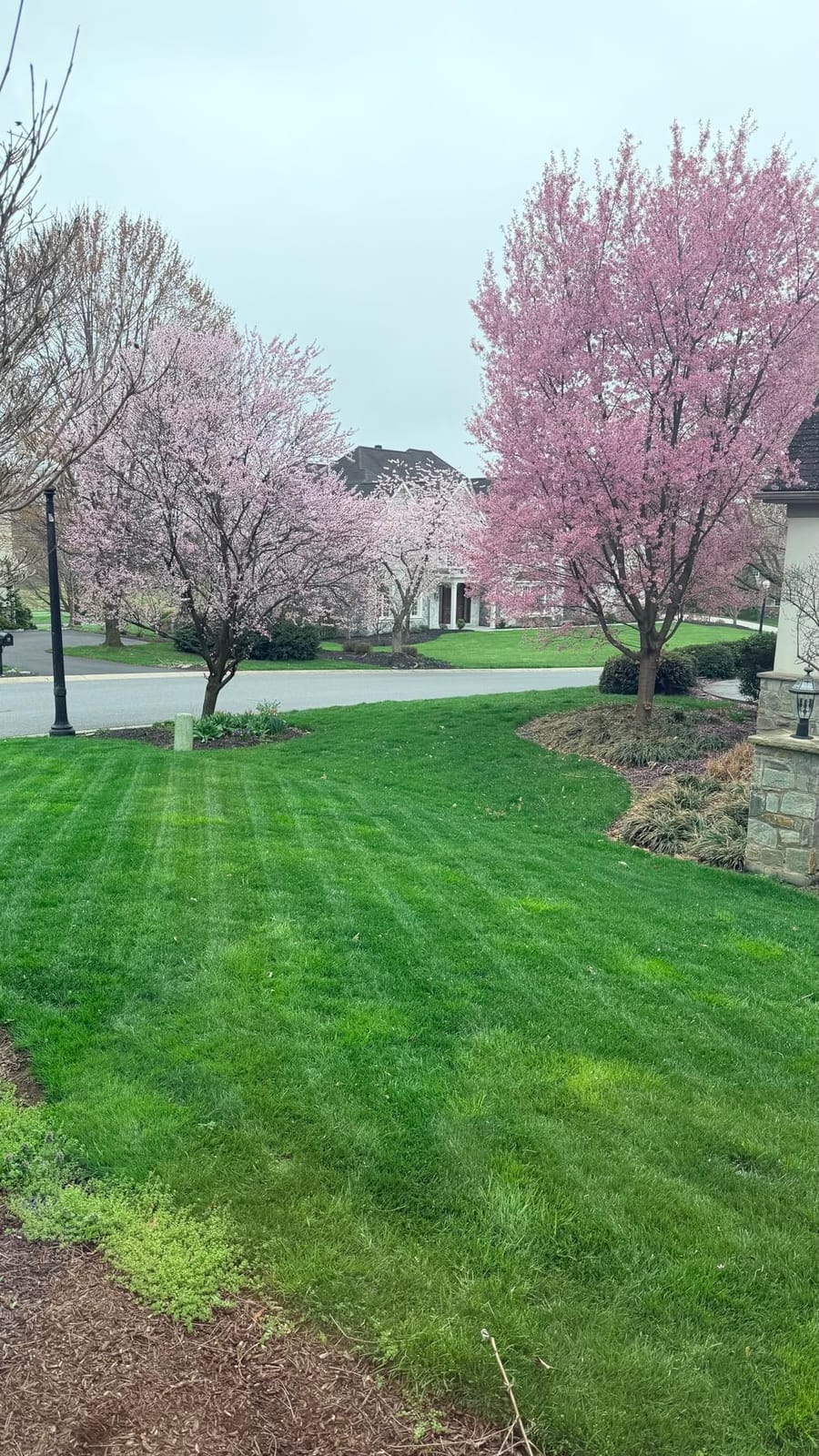 ECOVACS Goat A2000 LiDAR PRO Robot Lawn Mower, Dual LiDAR Navigation customer photo 1