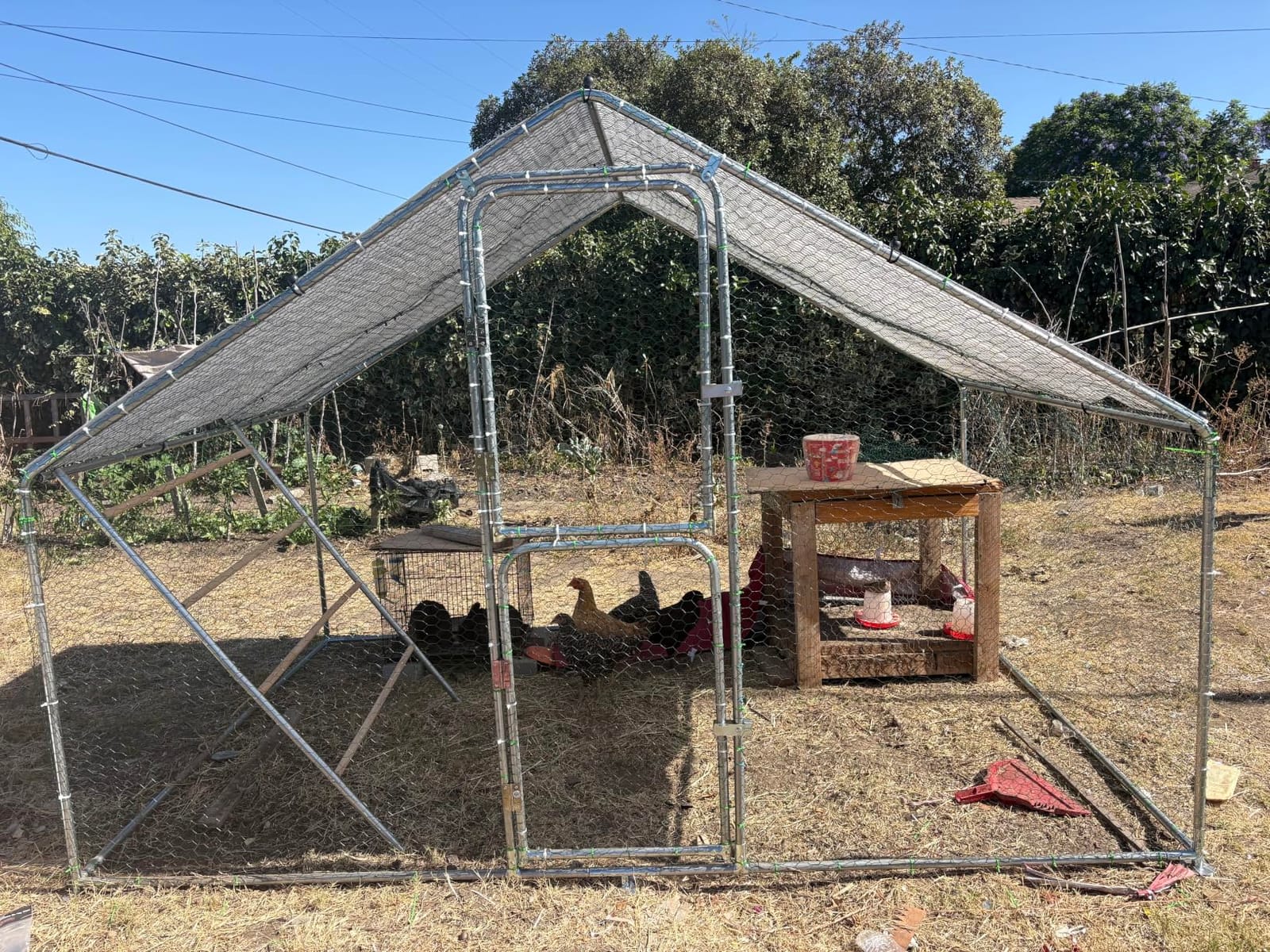 UDPATIO Large Metal Chicken Coop Walk in Run House Pen Galvanized Frame customer photo 2