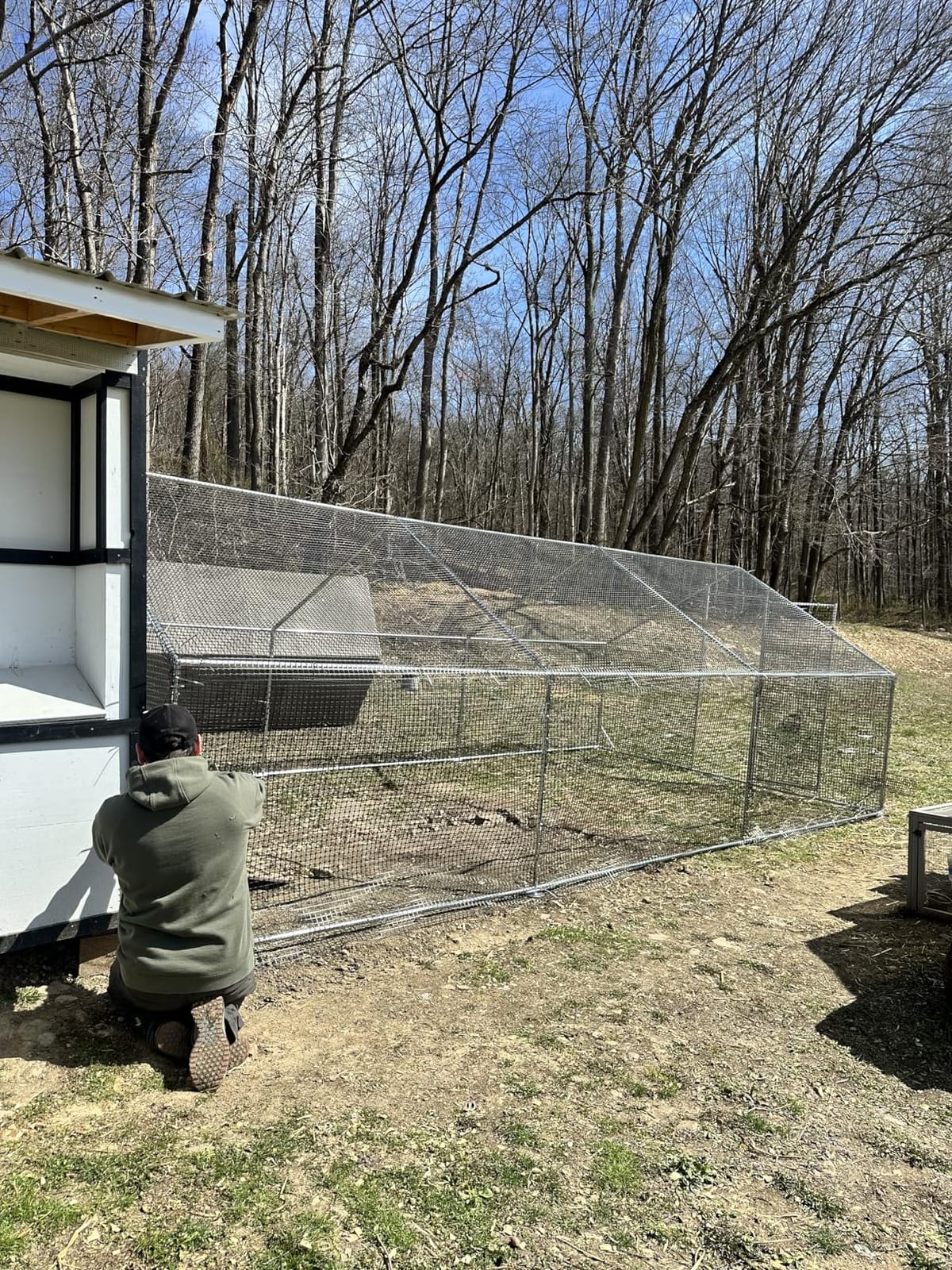 CAMMOO Walk in Chicken Coop, 19.7x9.8x6.6ft Chicken Run for Yard with Cover customer photo 2