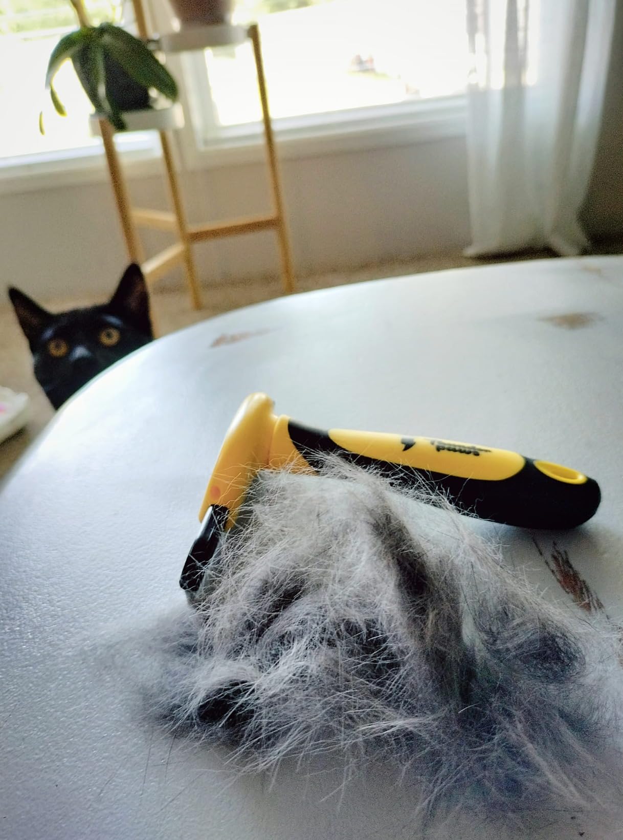 2-in-1 Deshedding Brush and Dematting Rake - Double Coat Undercoat Grooming Tool for Dogs and Cats, Reduces Shedding by Up to 95% (Electric Blue) customer photo 2