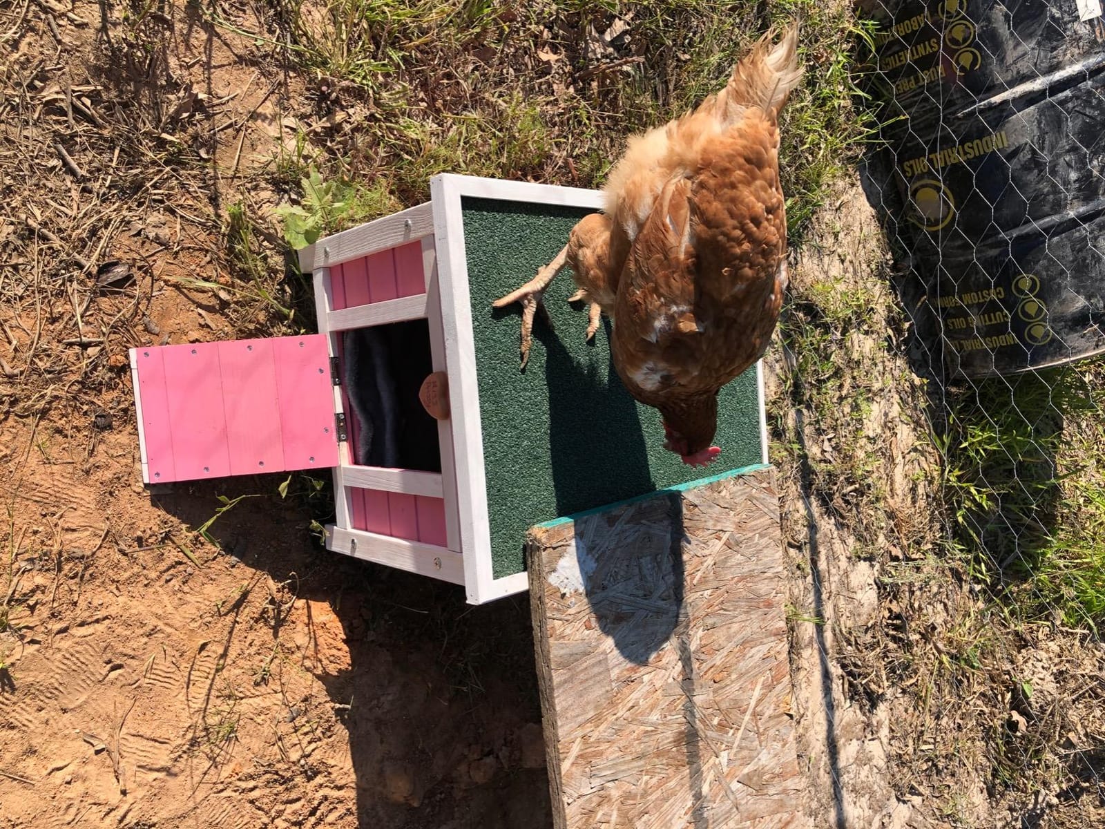 Rockever Nesting Boxes for Chickens, Plastic Nesting Boxes for Chicken Coop customer photo 2