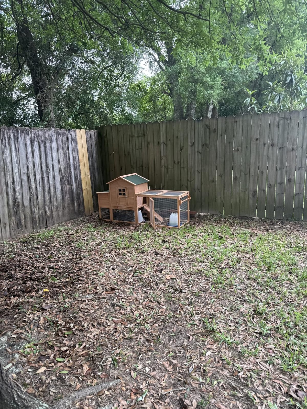 Chicken Coops for 1-2 Chickens with Wheels, Outdoor Wooden Hen House with Nesting Box, Large Rabbit Hutch, Outside Poultry House, Wire Fence Run Cages, Weatherproof for Backyard(Wooden) customer photo 1