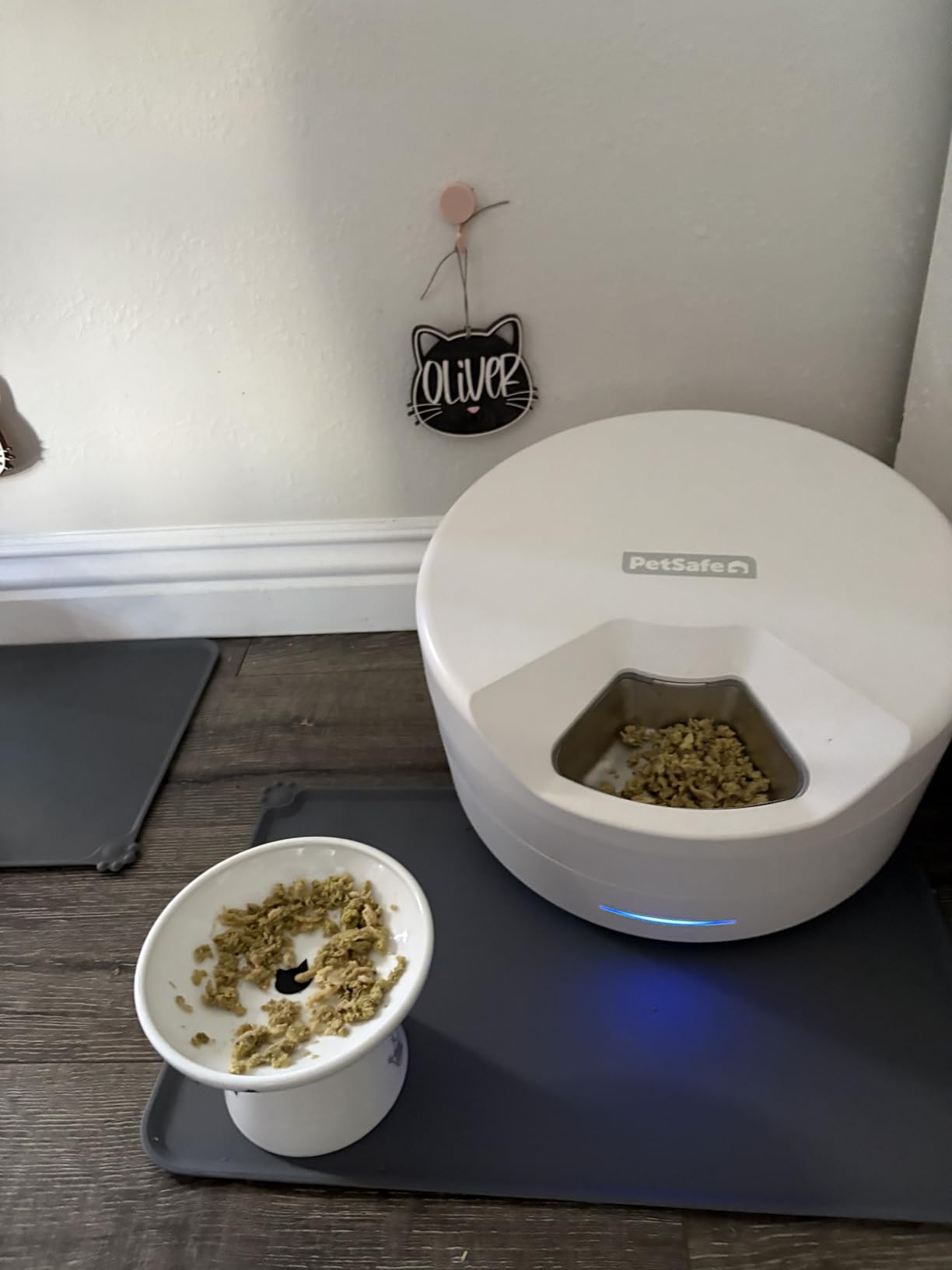 PetSafe FreshFeed Refrigerated Automatic Wet Food Feeder, 6 Meals, Black customer photo 1
