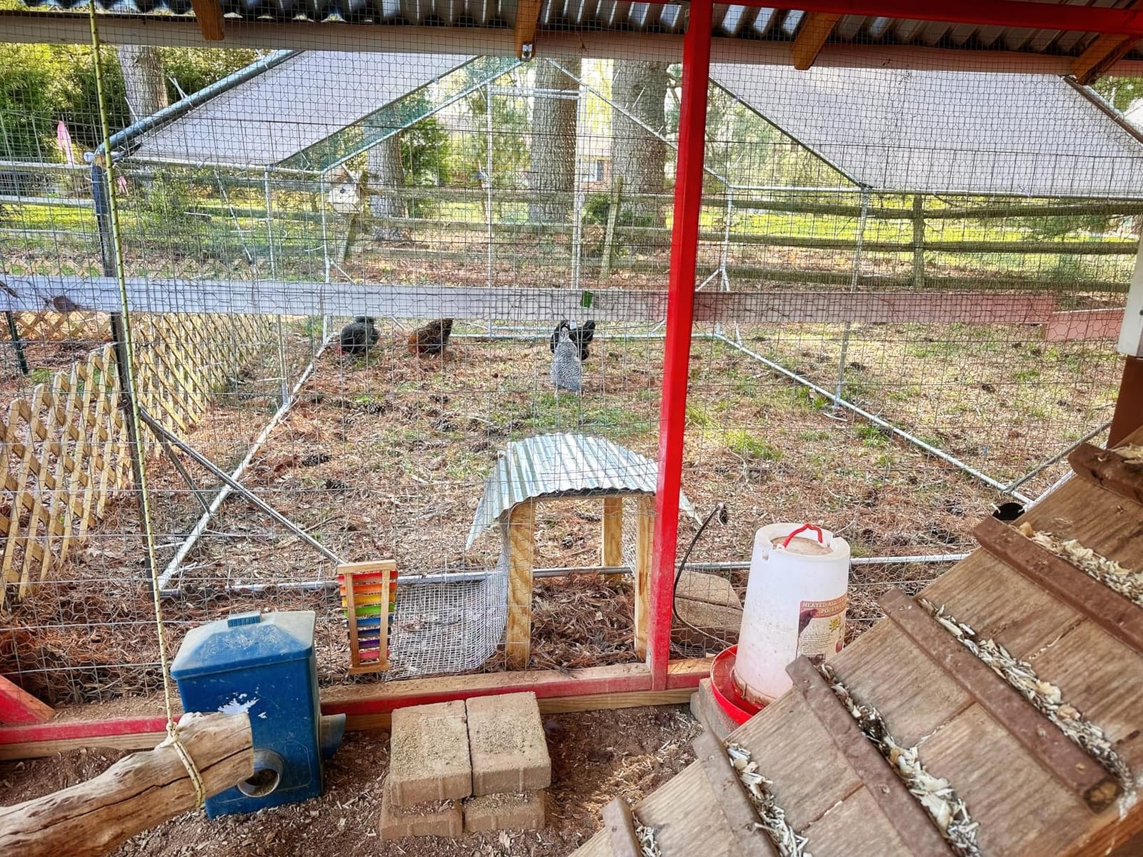 GarveeLife Large Metal Chicken Coop, Chicken Run for 20/30 Chickens, Outdoor Walk in Poultry Cage with Anti-UV Cover and Waterproof, 19.68 x 9.84 x 6.56 ft customer photo 1