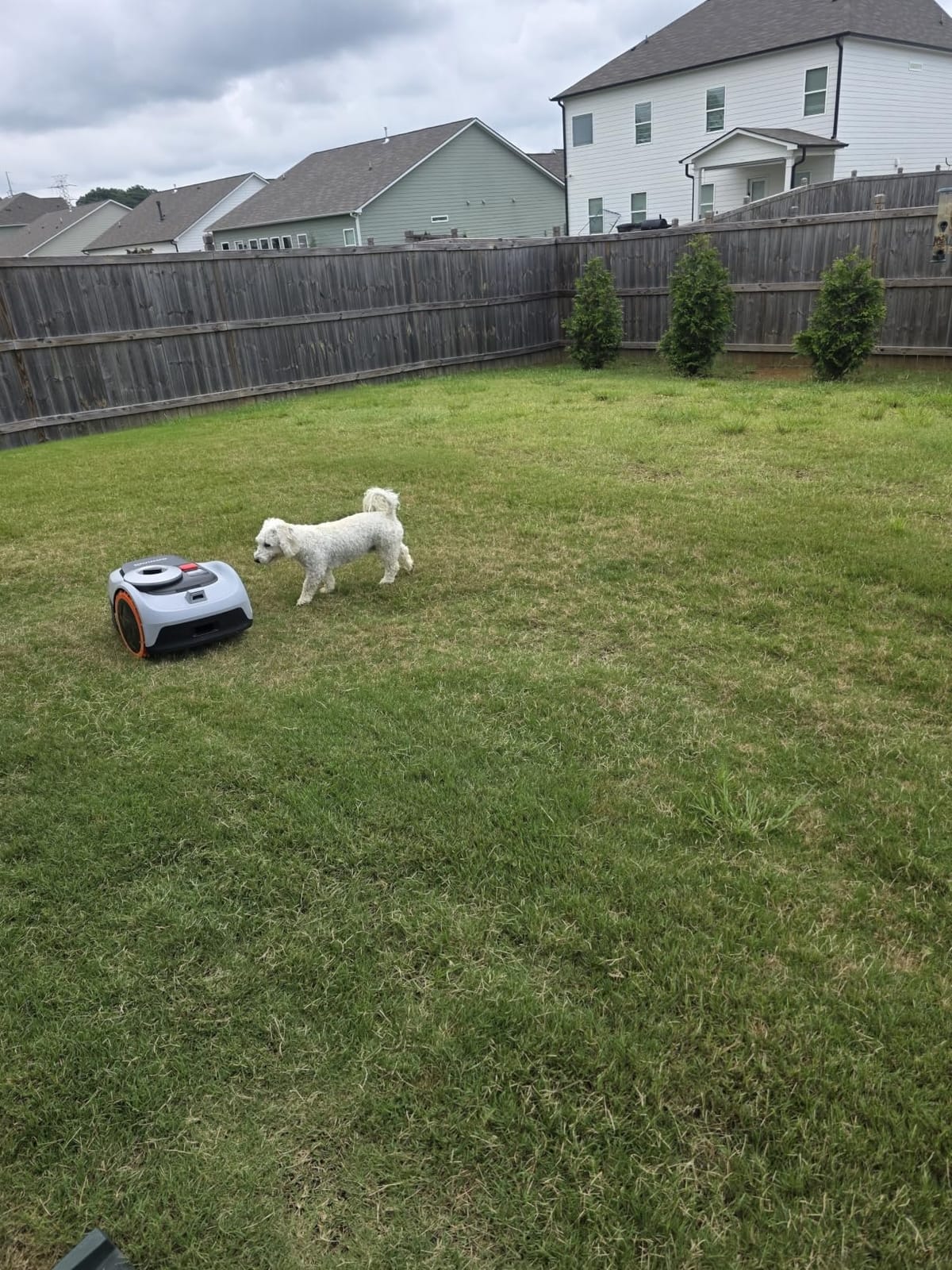 Segway Navimow i206 AWD Robot Lawn Mower Wire Free with Garage S, 0.15 Acre customer photo 2