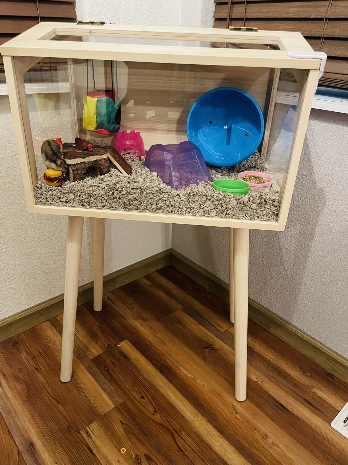 PROLEE Hamster Cage Wooden Chew Proof, Extra Large Mice and Rat Habitat Openable Top with Acrylic Sheets Solid Built Small Animal Cage with Leg Stands, 32 Inch Long customer photo 2