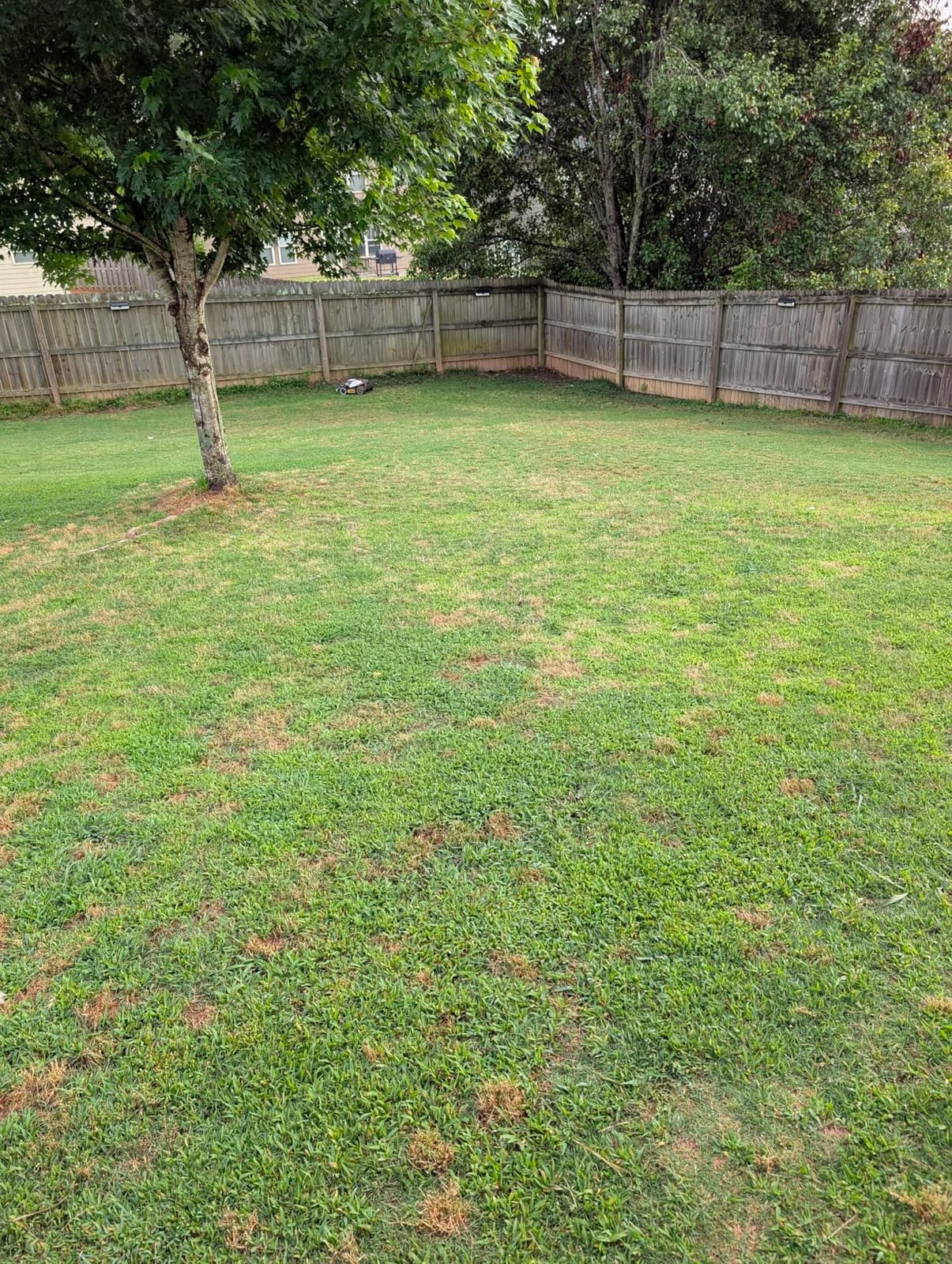 (2026 Upgrade) Mammotion LUBA mini 2 AWD 1500H Robot Lawn Mower, for 0.37 Acres, 360° LiDAR+Dual-Camera AI Vision, 80% Slope, DropMow, 20 Multi-Zone Management customer photo 2