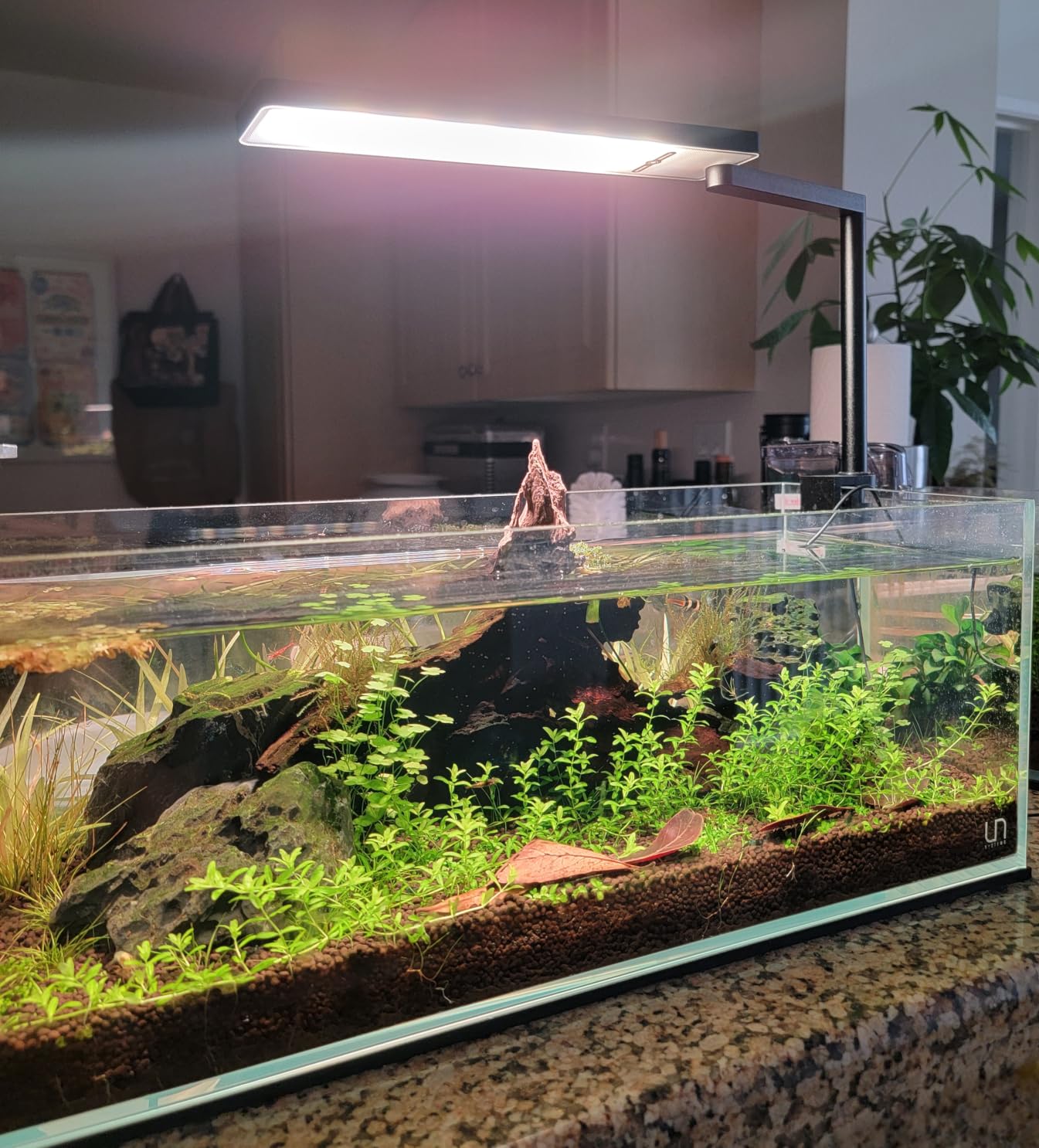 FZONE Solo Series Nano Aquarium Light for Saltwater and Reef Coral Tanks customer photo 2