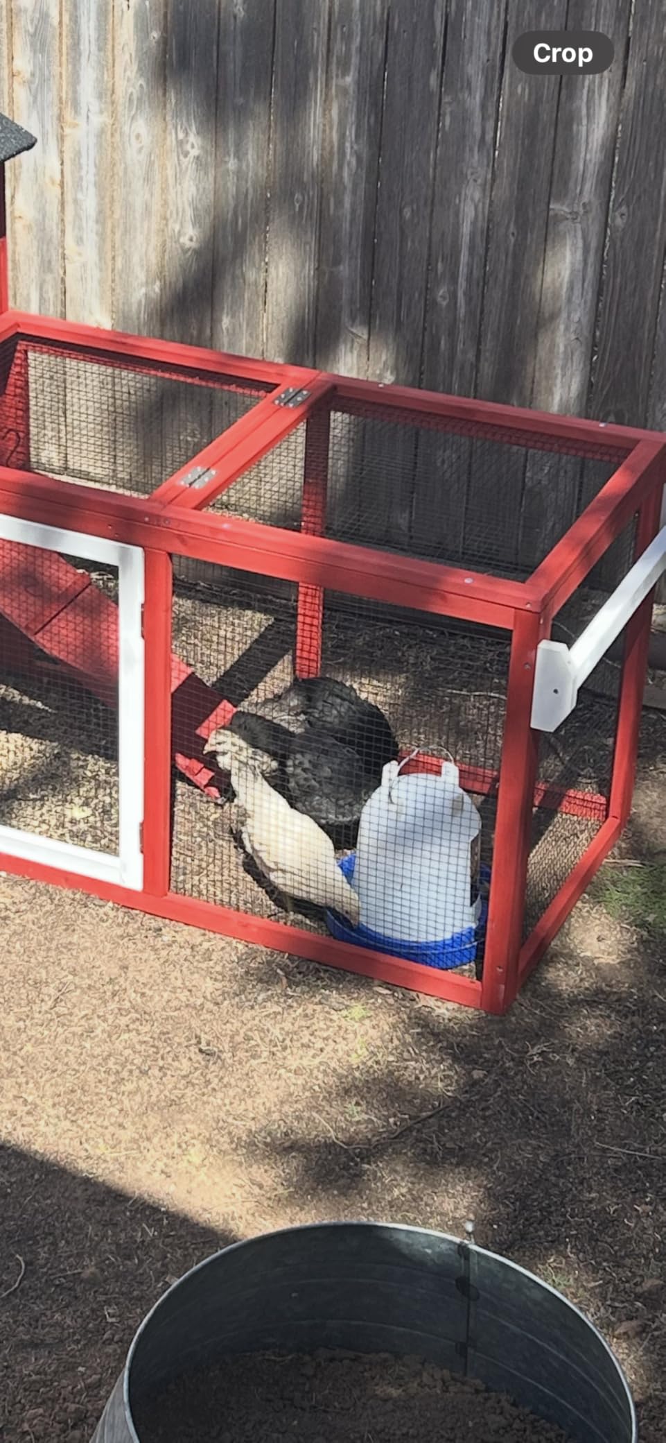 Large Chicken Coop for 4-6 Chickens with Nesting Box, Predator Proof Outdoor Hen House, Reinforced Frame, Waterproof Asphalt Roof, Easy Clean Pull-Out Tray, Ventilated Design customer photo 1