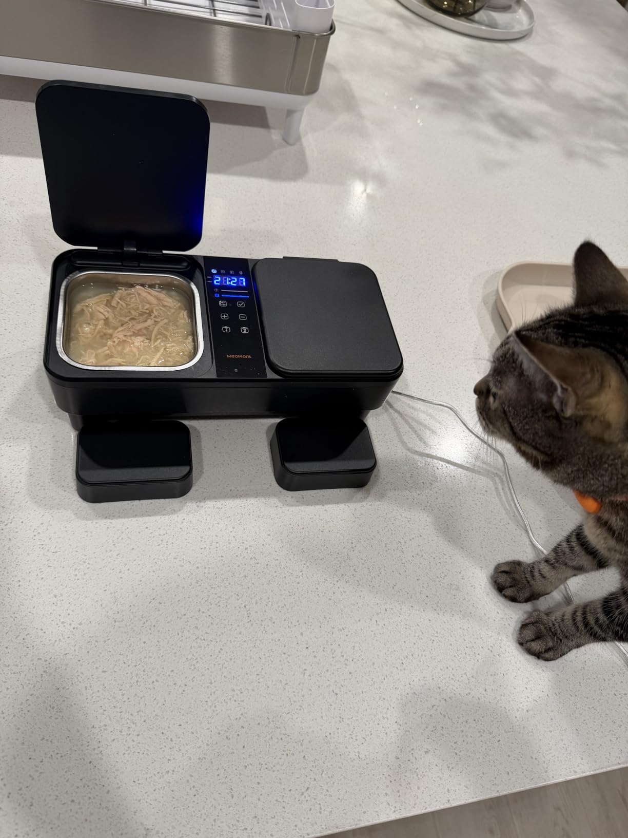 Meowant Automatic Wet Food Cat Feeder, Semiconductor Cooling & Pre-Heating customer photo 2
