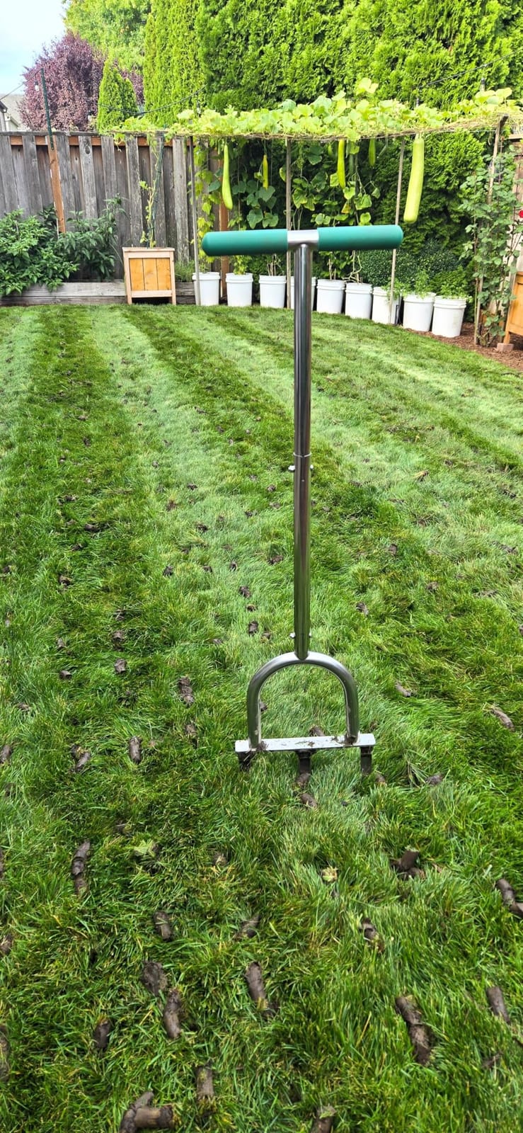 Lawn Aerator Tool, Stainless Steel Manual Core Aerator with 3 Hollow Tines customer photo 1