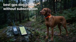 best gps dog collars without subscription